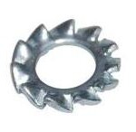 Saiba-elastica-crestata-exterior-DIN6798A